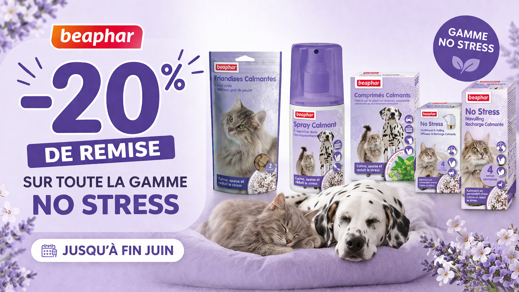 Offre Promos Beaphar No Stress